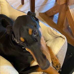 Meet your Posher, Kathy